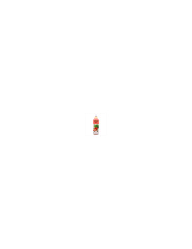 Agua Aloe Fresa 500ml